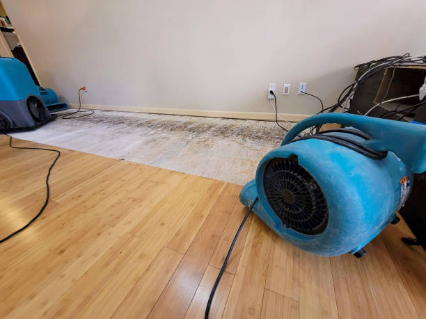Professional Water Extraction technician working in Rochester, MN